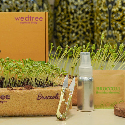 Collection image for: Microgreens