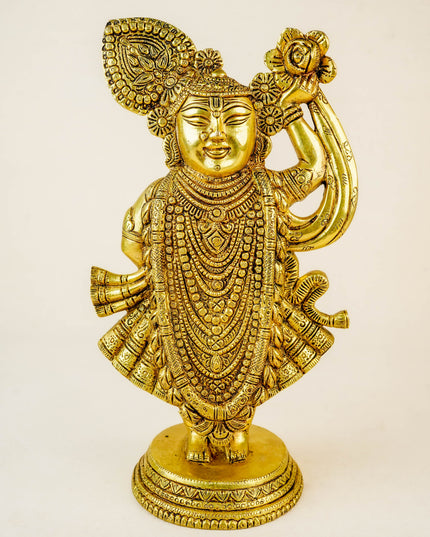 Brass Shreenathji Idol - WL2210-2