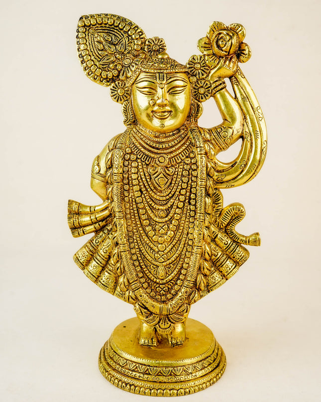 Brass Shreenathji Idol - WL2210-2