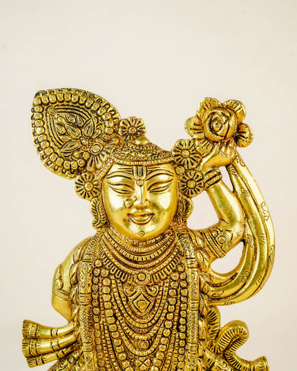 Brass Shreenathji Idol - WL2210-2