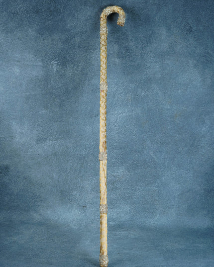 Kasi Yatra Set - Cream - WL5570