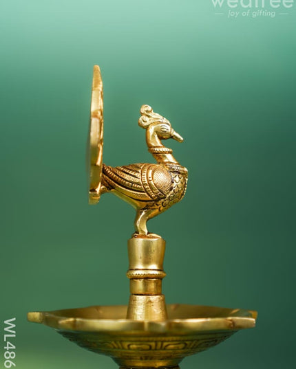 Brass Peacock Diya - 8 inch - WL4861 Brass Diya