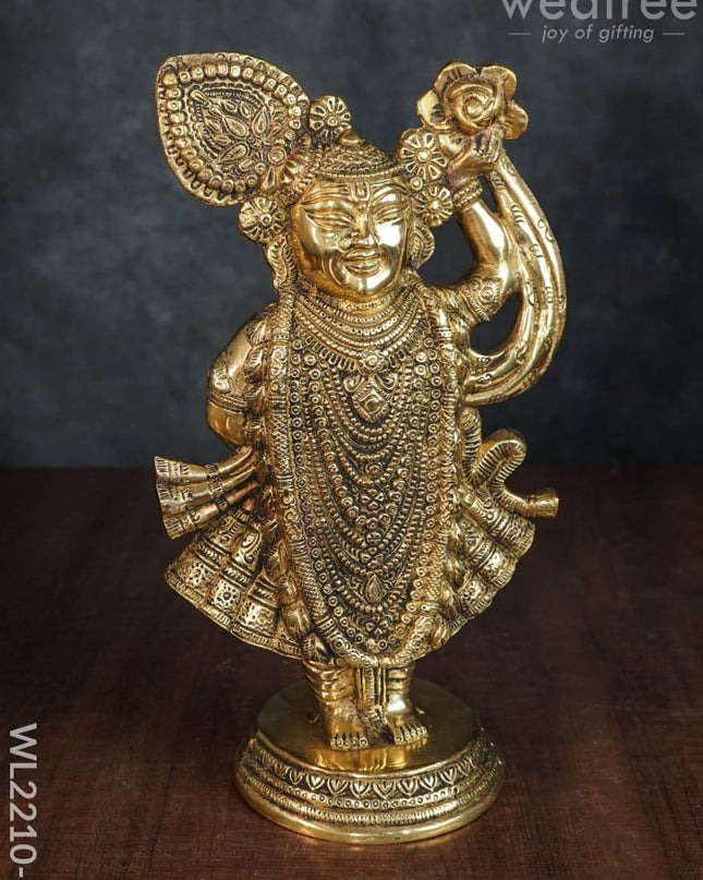 Brass Shreenathji - Wl2210 Figurines