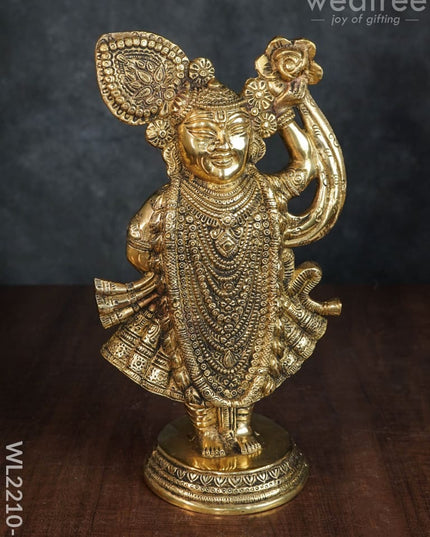 Brass Shreenathji - Wl2210 Figurines