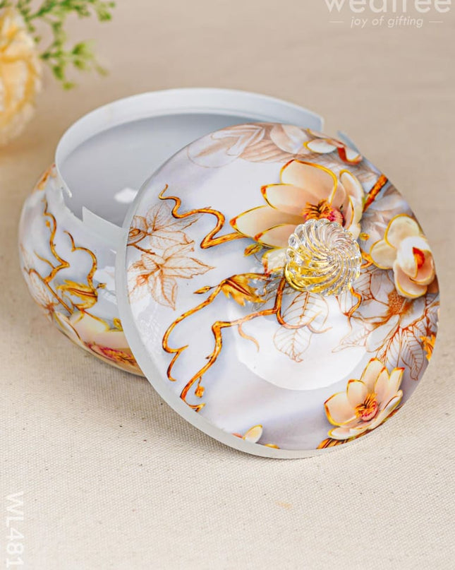 Dry Fruit Container - WL4819 Dry Fruit Box