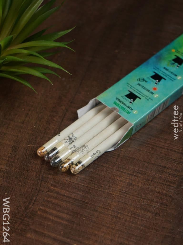 Paper Pencil - Seed Set Of 5 Wbg1264 Kids Utility