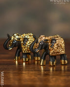 Gold Finish