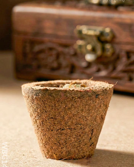 Kesar Sandalhood Haven Cups - WBG1475 - Eco-Friendly RG