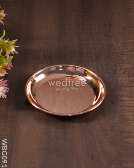 Lucky Tortoise With Copper Plate - Wbg0919 Divine Figurines