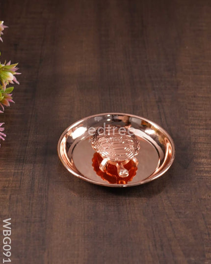 Lucky Tortoise With Copper Plate - Wbg0919 Divine Figurines