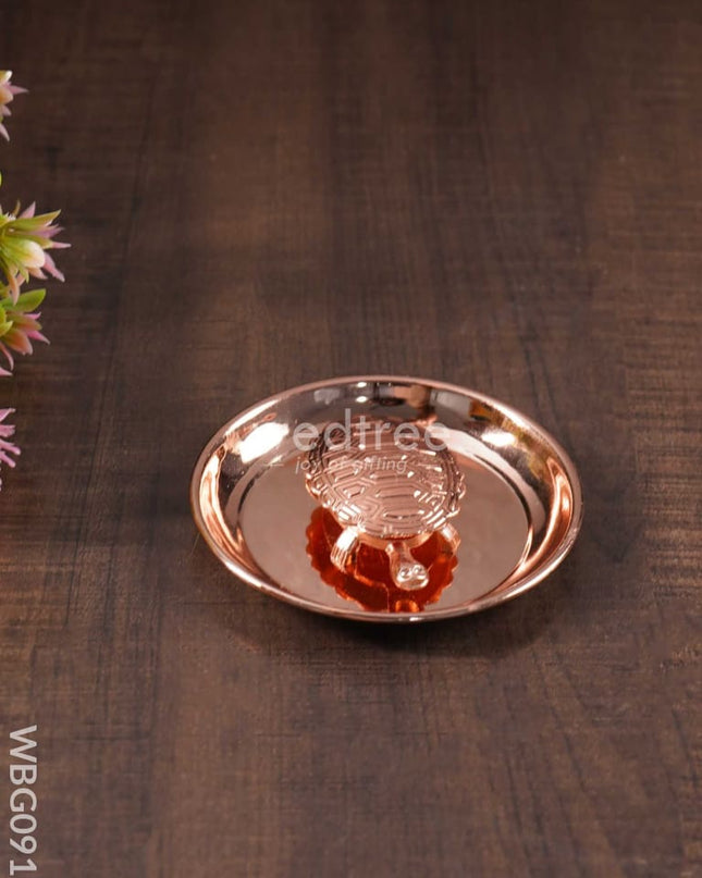 Lucky Tortoise With Copper Plate - Wbg0919 Divine Figurines