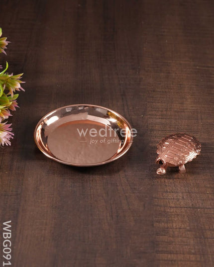 Lucky Tortoise With Copper Plate - Wbg0919 Divine Figurines
