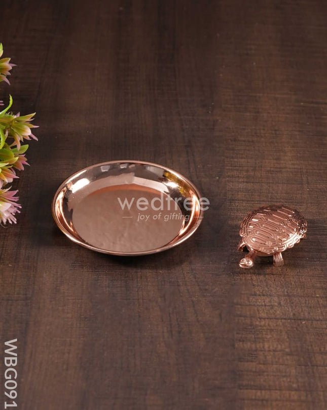 Lucky Tortoise With Copper Plate - Wbg0919 Divine Figurines