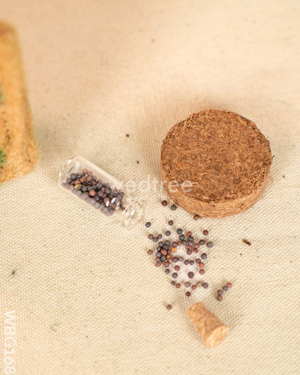 Micro Green Grow Kit - WBG1684 Planters