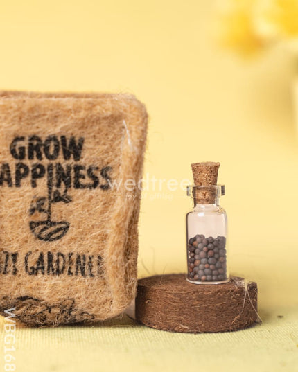 Micro Green Grow Kit - WBG1684 Planters