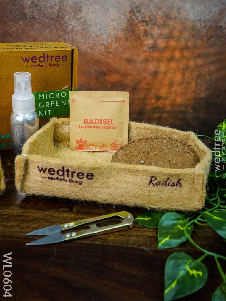 Microgreens Kit - 2 Seed Variant Radish And Basil Wl0604 Corporate Gifts