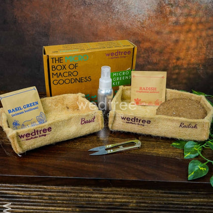 Microgreens Kit - 2 Seed Variant Radish And Basil Wl0604 Corporate Gifts
