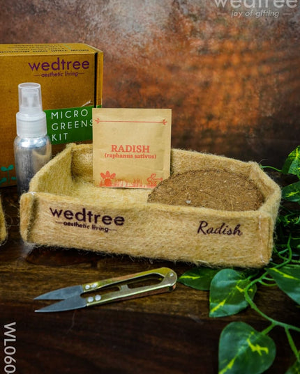 Microgreens Kit - 2 Seed Variant Radish And Basil Wl0604 Corporate Gifts
