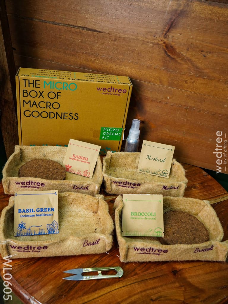 Microgreens Kit - 4 Seed Variant Radish Broccoli Mustard And Basil Wl0605 Corporate Gifts
