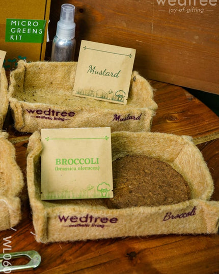 Microgreens Kit - 4 Seed Variant Radish Broccoli Mustard And Basil Wl0605 Corporate Gifts