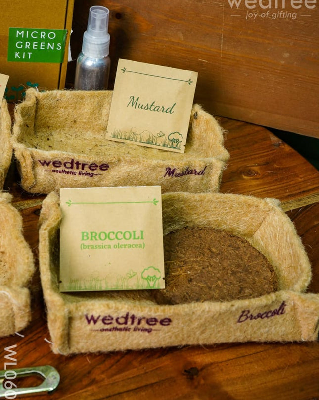Microgreens Kit - 4 Seed Variant Radish Broccoli Mustard And Basil Wl0605 Corporate Gifts