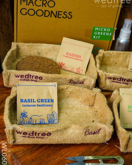 Microgreens Kit - 4 Seed Variant Radish Broccoli Mustard And Basil Wl0605 Corporate Gifts