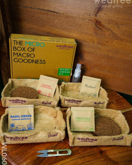 Microgreens Kit - 4 Seed Variant Radish Broccoli Mustard And Basil Wl0605 Corporate Gifts