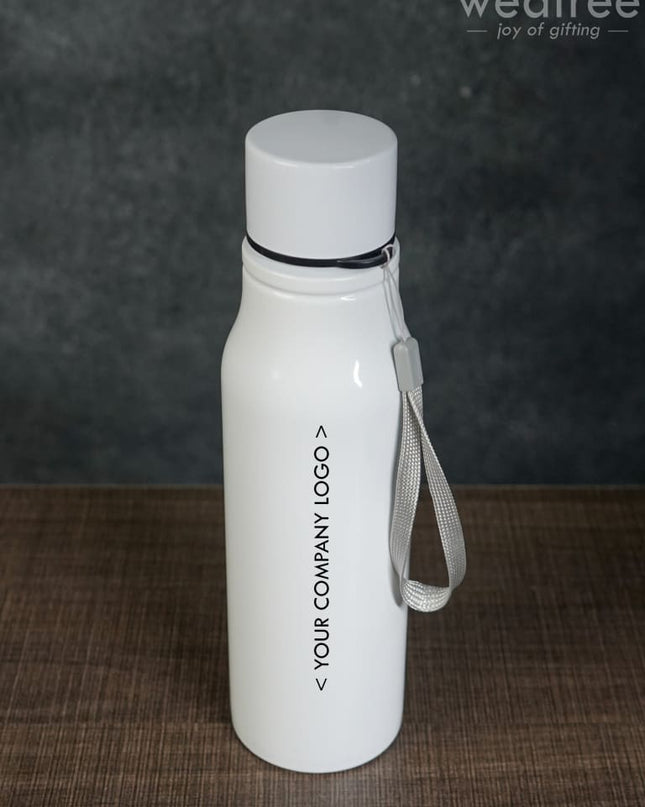 Stainless Steel Bottle- Wl1224 Corporate Gifts